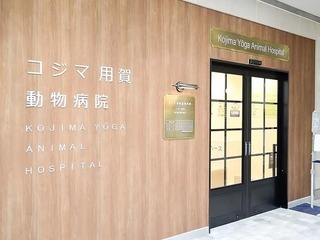 17900765
