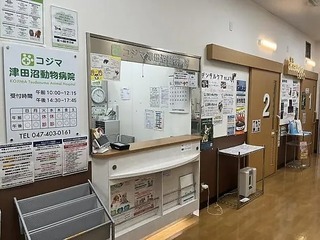 17900785