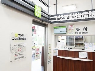 20494355